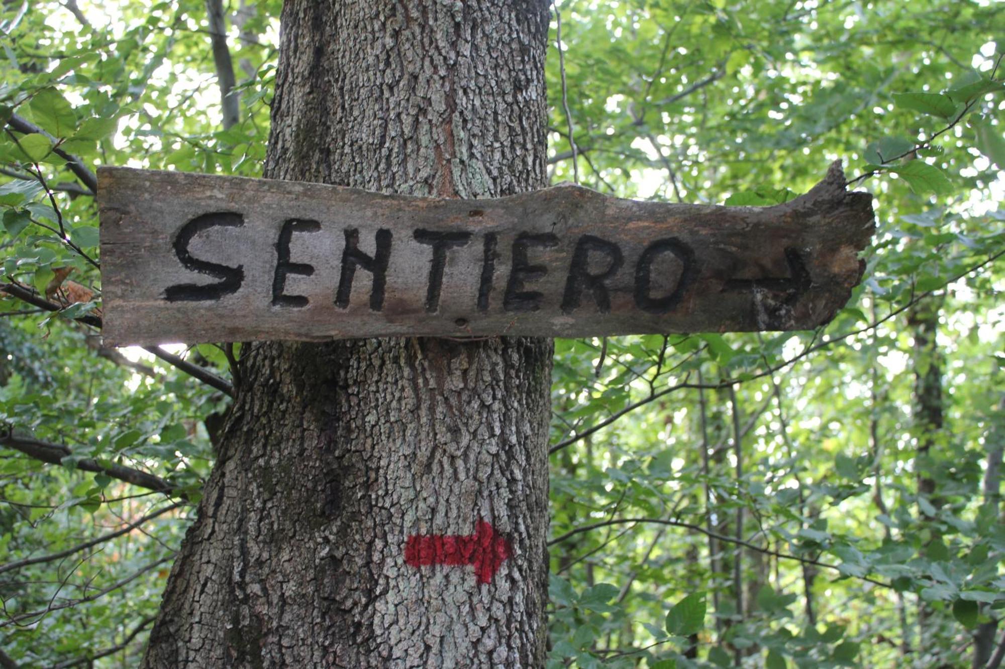 Agriturismo La Valle Del Vento أوربينو المظهر الخارجي الصورة