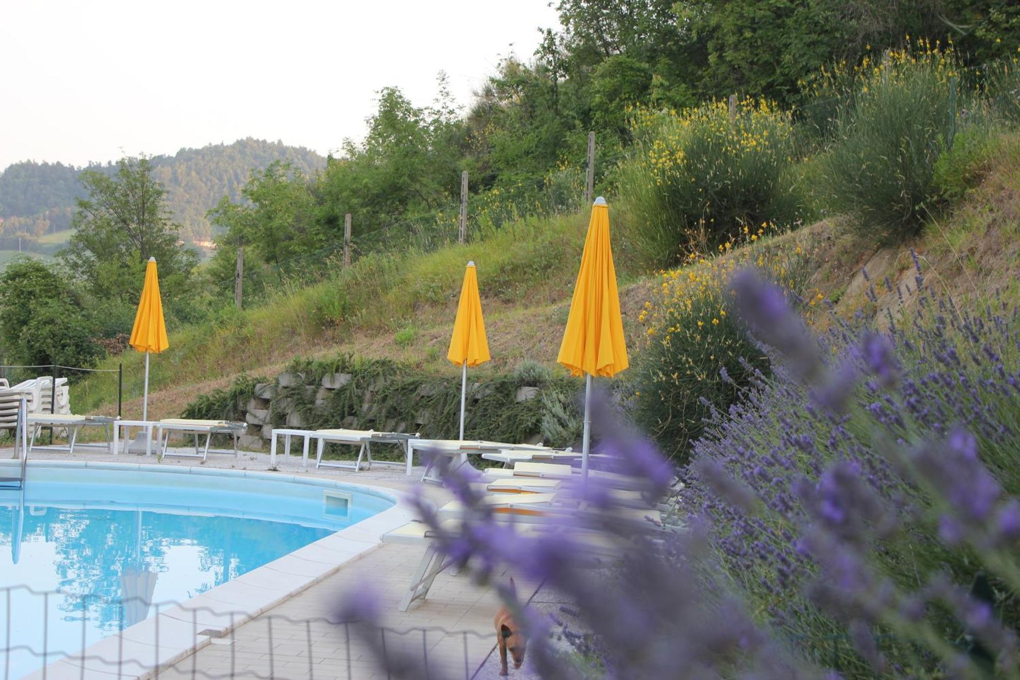 Agriturismo La Valle Del Vento أوربينو المظهر الخارجي الصورة