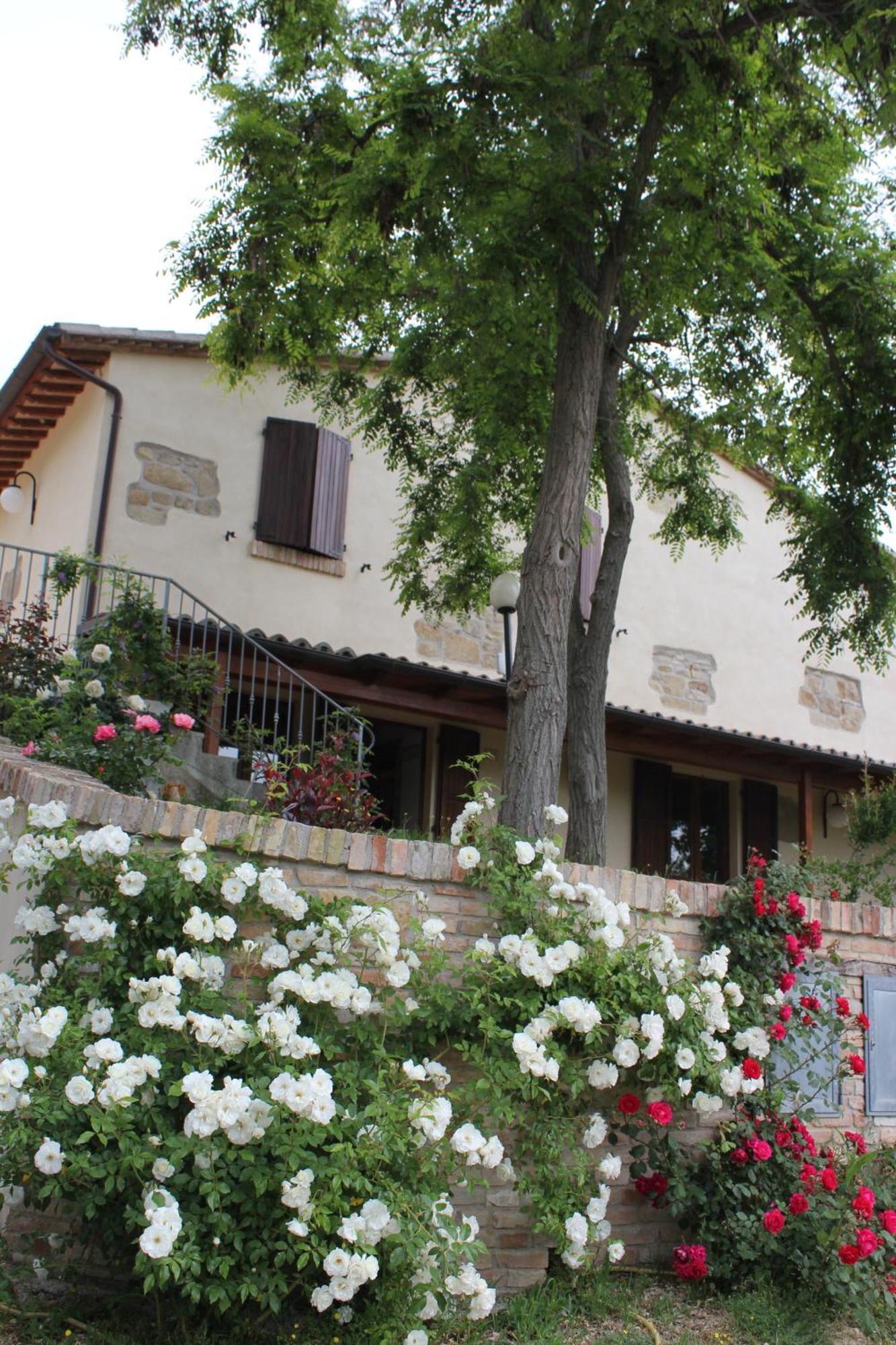 Agriturismo La Valle Del Vento أوربينو المظهر الخارجي الصورة