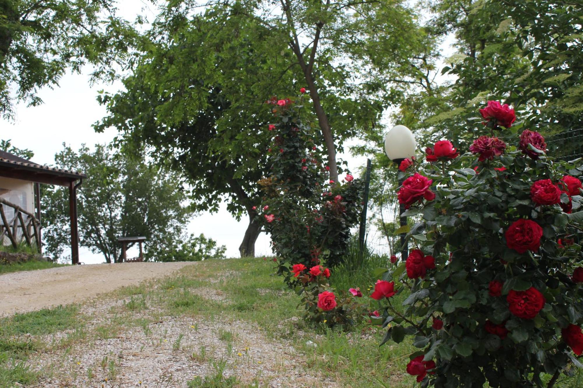 Agriturismo La Valle Del Vento أوربينو المظهر الخارجي الصورة